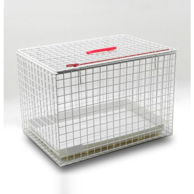 Transportbox TB für Kleintiere, aus Stahl, verriegelbare Entnahmeklappe, entnehmbar Wanne, (LxBxH) 560x390x380 mm